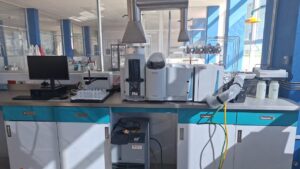 imagen de whatsapp 2025 08 25 a las 14.10.59 e26625f8